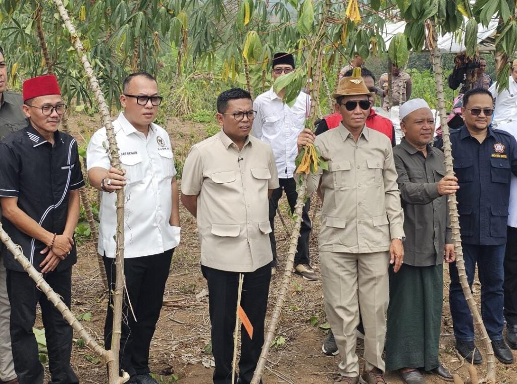 Panen Singkong Kualitas Super, Gubernur Banten Andra Soni Jamin Kepastian Pasar dan Infrastruktur Desa 3076524