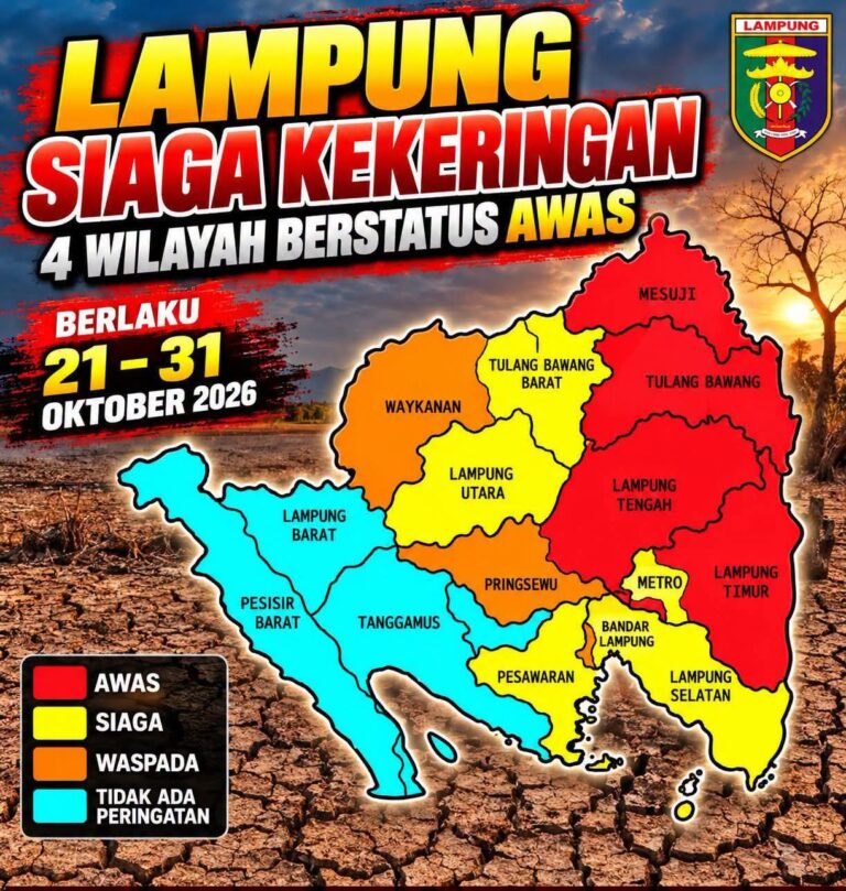 img 20261023 wa0280